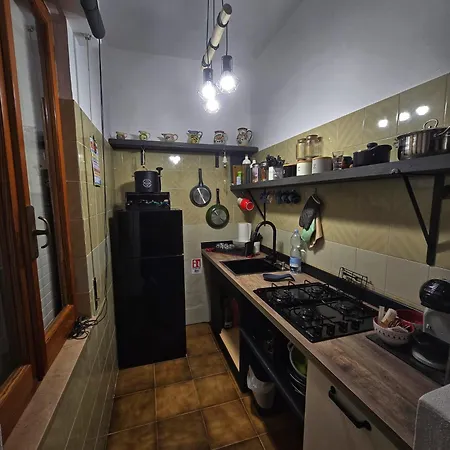 Eddys * 바쿠 아비스